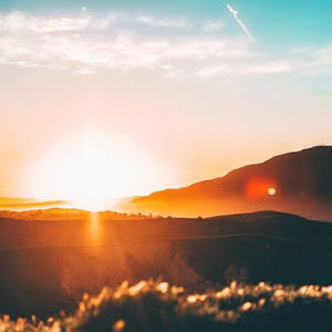 Meet your Posher, Zoe